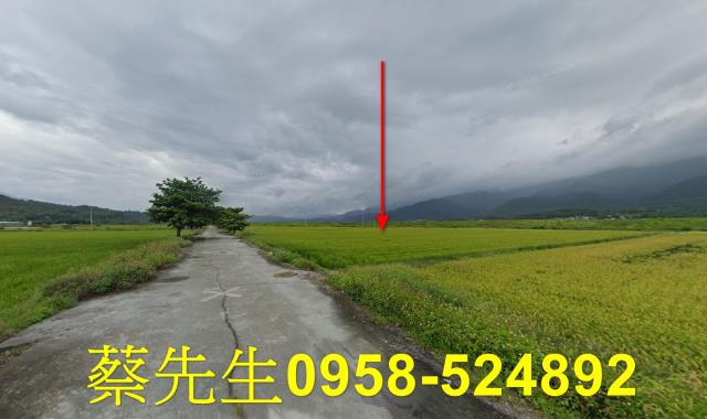 花蓮農地法拍-13