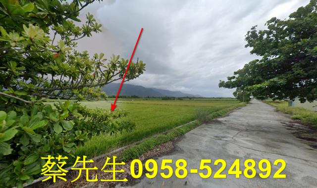 花蓮農地法拍-14