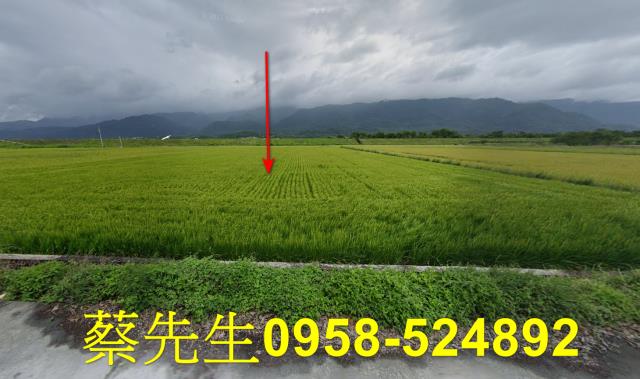 花蓮農地法拍-1