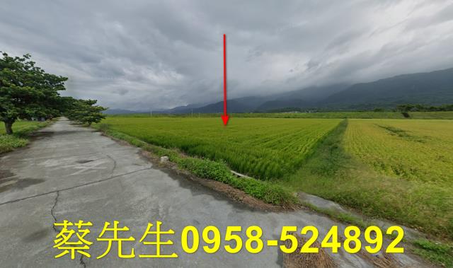 花蓮農地法拍-4