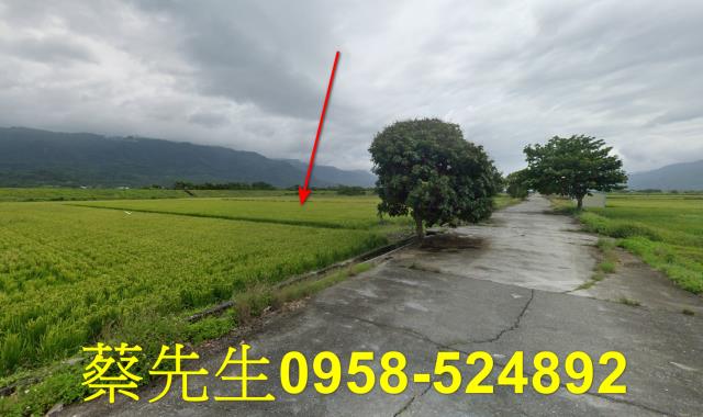 花蓮農地法拍-7