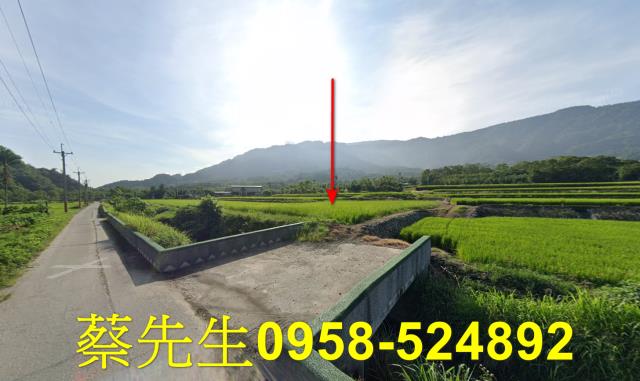 花蓮農地拍賣-1