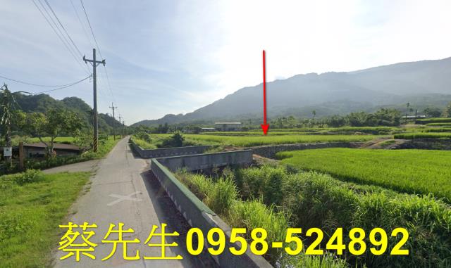 花蓮農地拍賣-5