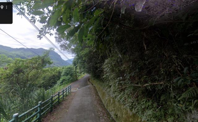 桃園復興農地法拍-8