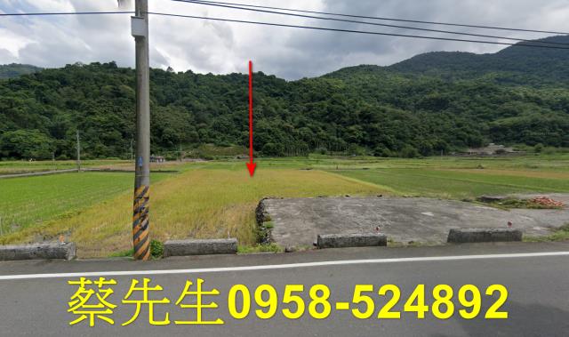 大同拍賣農地-1
