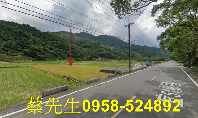 大同拍賣農地-6