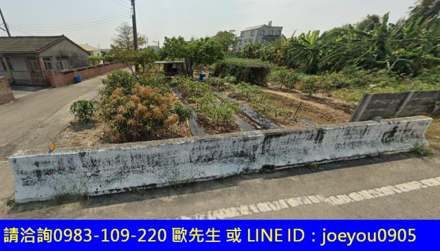 新港法拍農地-10