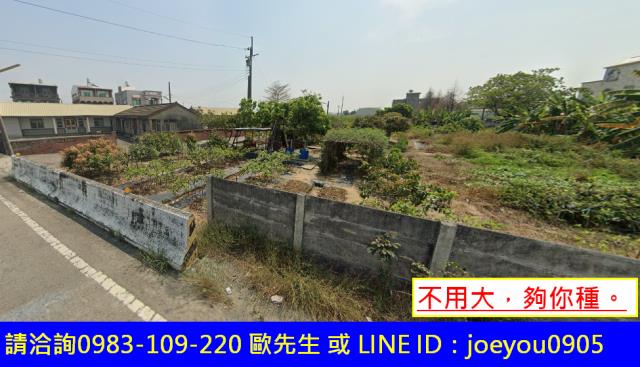 新港法拍農地-9