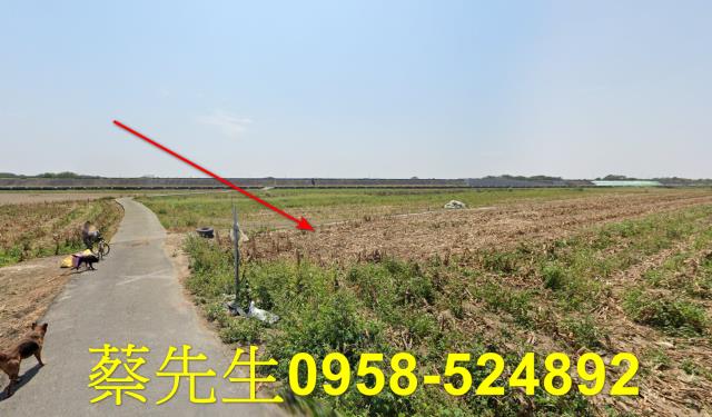 鹿草法拍農地-15
