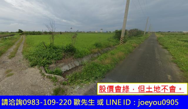 將軍法拍農地-1