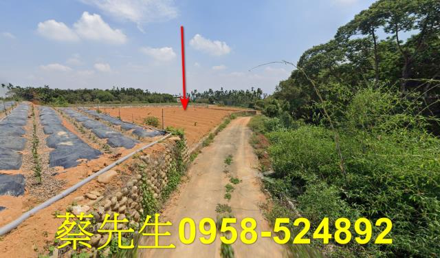 南投名間農地拍賣-13