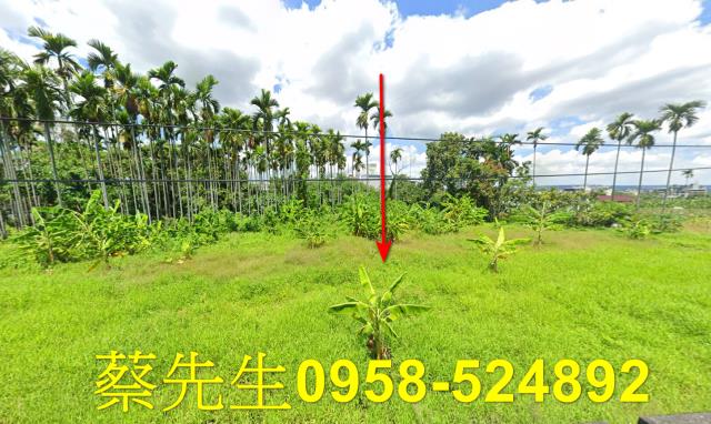 南投名間法拍農地-9