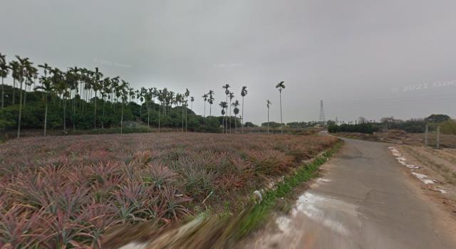 彰化芬園法拍農地-10
