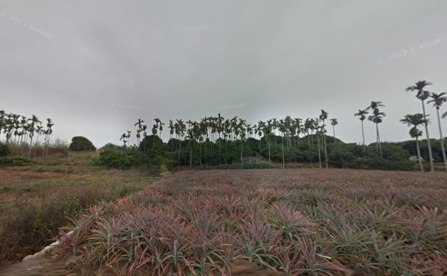 彰化芬園法拍農地-4
