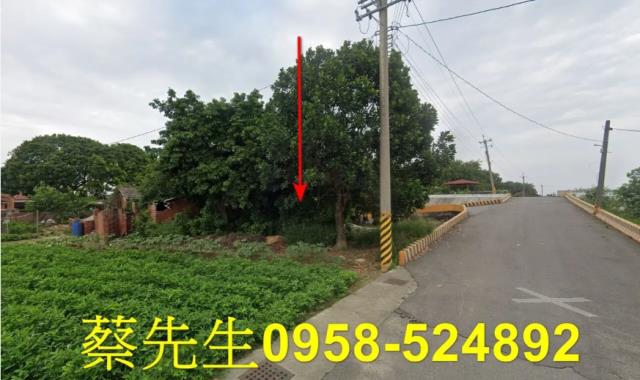 六腳建地拍賣-15