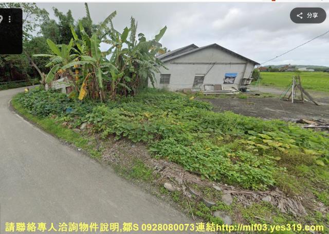 花蓮新城農地法拍-1