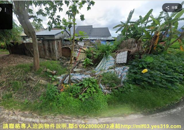 花蓮新城農地法拍-4