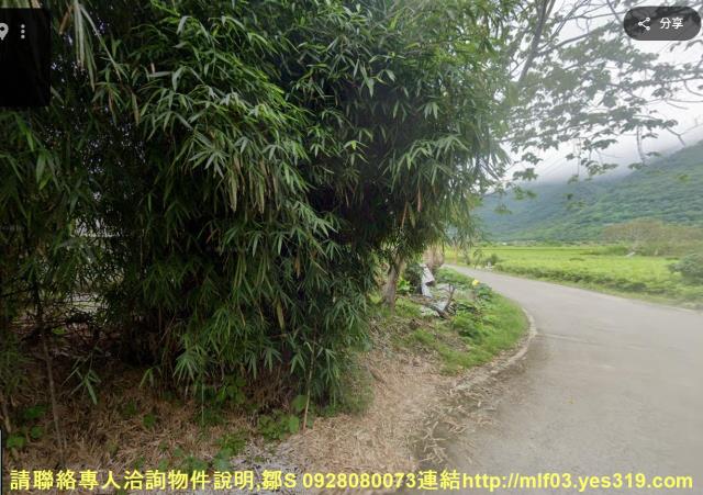 花蓮新城農地法拍-5