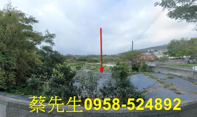 新北法拍農地-1