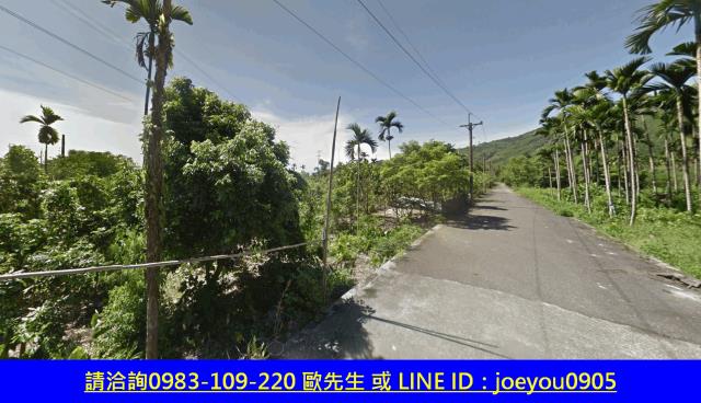 花蓮鳳林法拍農地-12