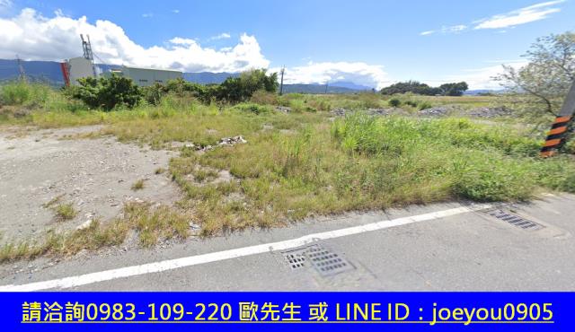 關山農地法拍-5