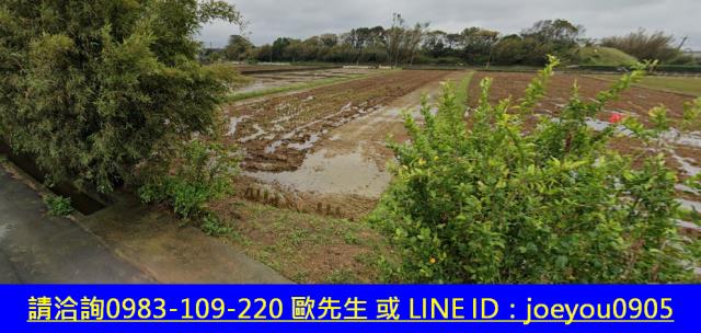 新竹新豐農地法拍-11