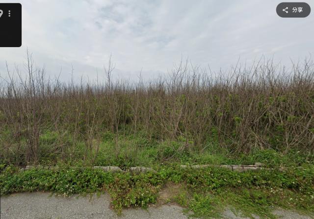 西嶼法拍農地-1