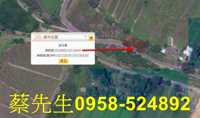 台東成功農地拍賣-11