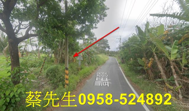 台東成功農地拍賣-15