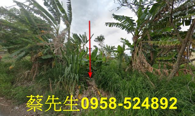 台東成功農地拍賣-1