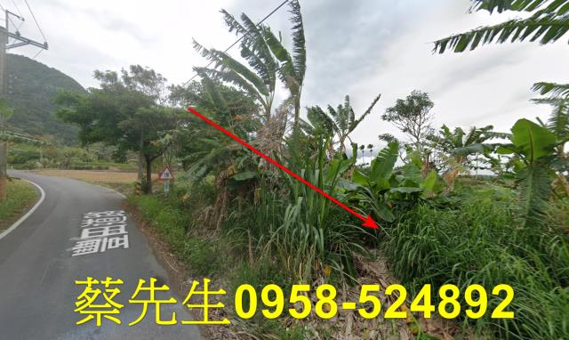 台東成功農地拍賣-4