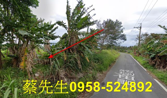 台東成功農地拍賣-6