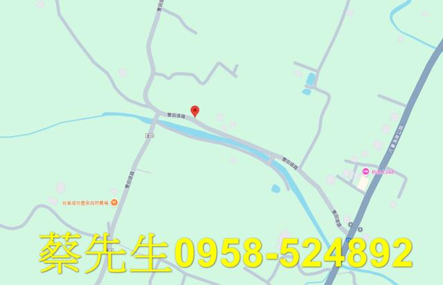 台東成功農地拍賣-8