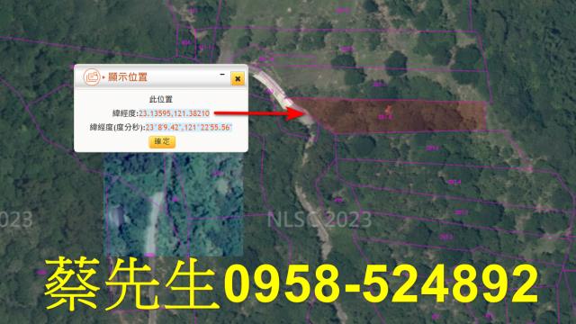 成功法拍農地-11