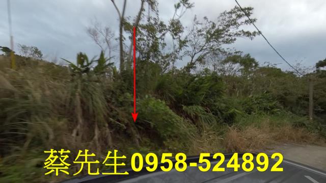 成功法拍農地-12