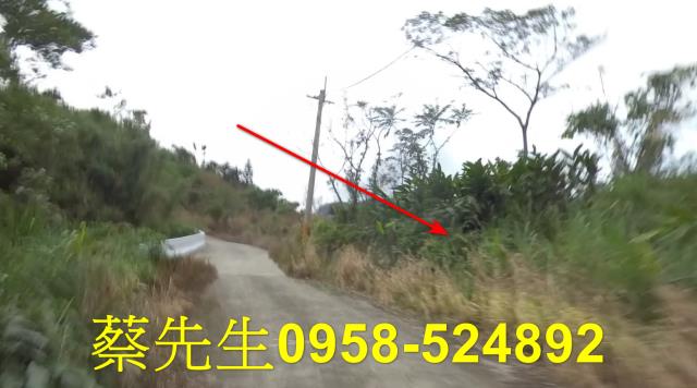 成功法拍農地-1