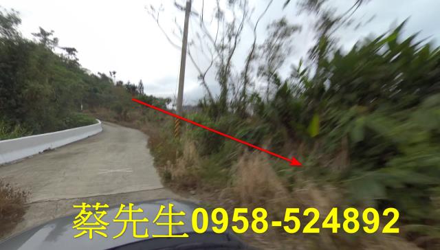 成功法拍農地-5