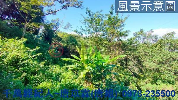 新竹芎林山坡地-8