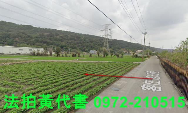 清水拍賣農地-4