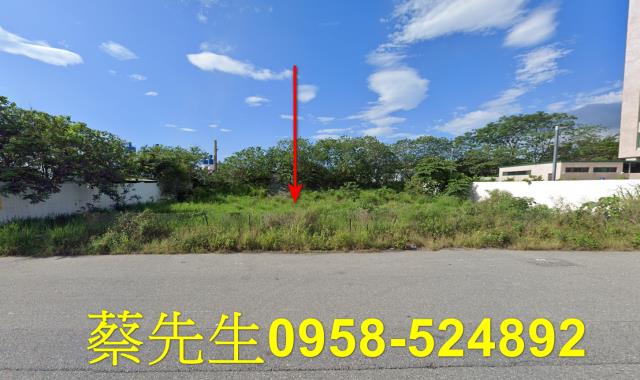 台東台東市工業地拍賣-9