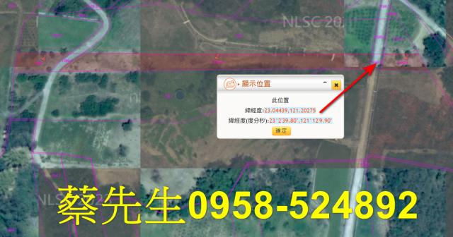 池上法拍農地-13