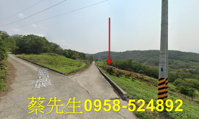 池上法拍農地-14