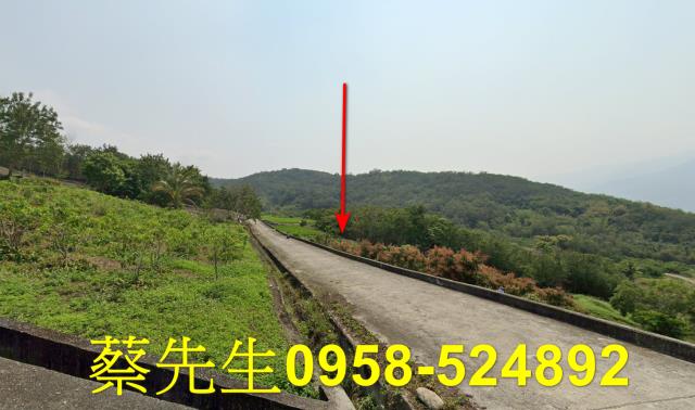 池上法拍農地-1