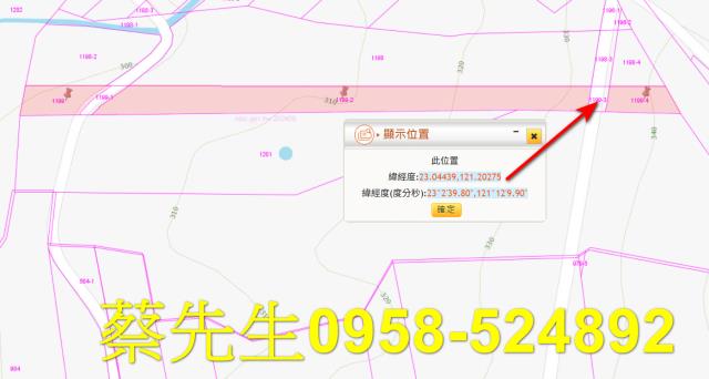 池上法拍農地-2