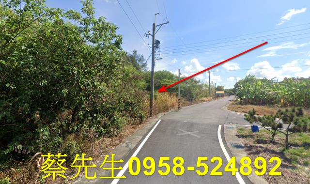 義竹建地法拍-15