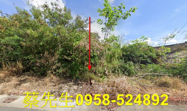 義竹建地法拍-1