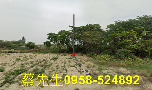 義竹建地拍賣-1
