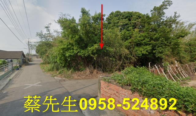嘉義建地法拍-7