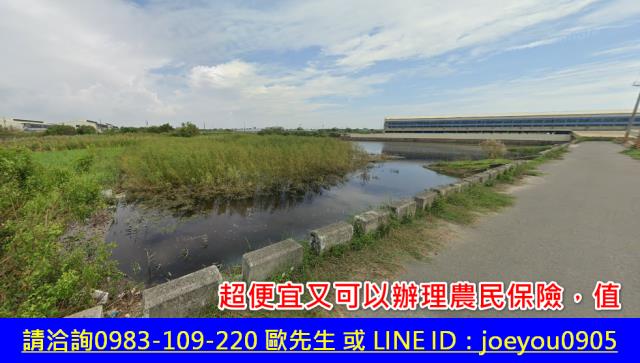 嘉義東石農地拍賣-10