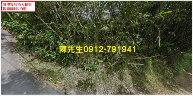 內湖法拍種菜地-8
